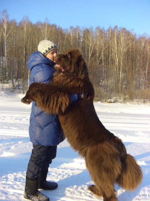 Фотография № 87691