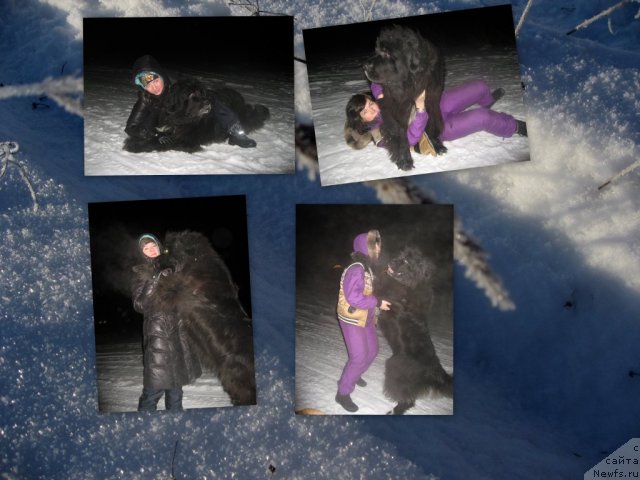 Фото: ньюфаундленд Балустар де Мантальчино, моя приятельница Катерина, Наталья Авенирова