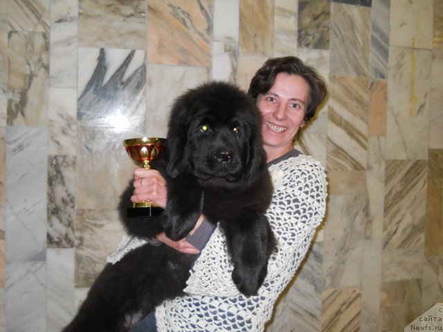 Фотография № 87735