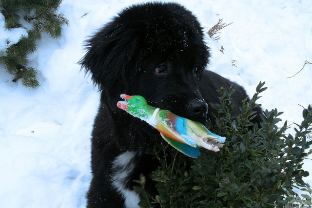 Фото: Jetem Fiona Armani