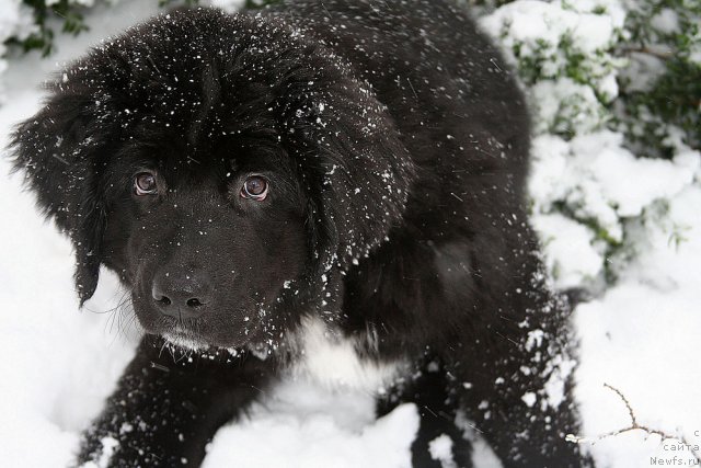 Фото: Jetem Fiona Armani