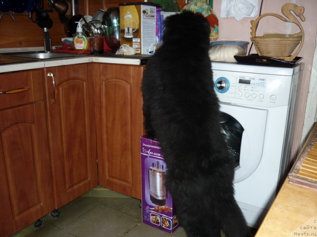 Фото: Сергей Краснов