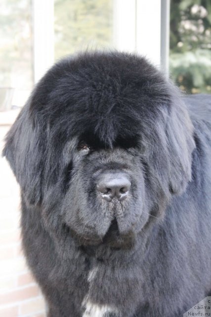 Фотография № 87782