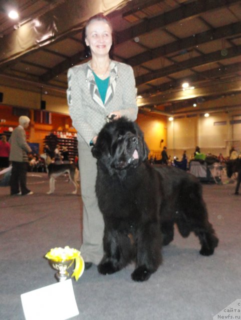 Фотография № 87786