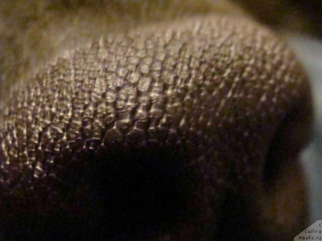 Фотография № 8779