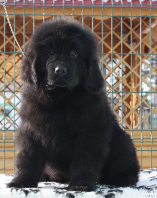 Фото: Акватория Келвин Тиффани