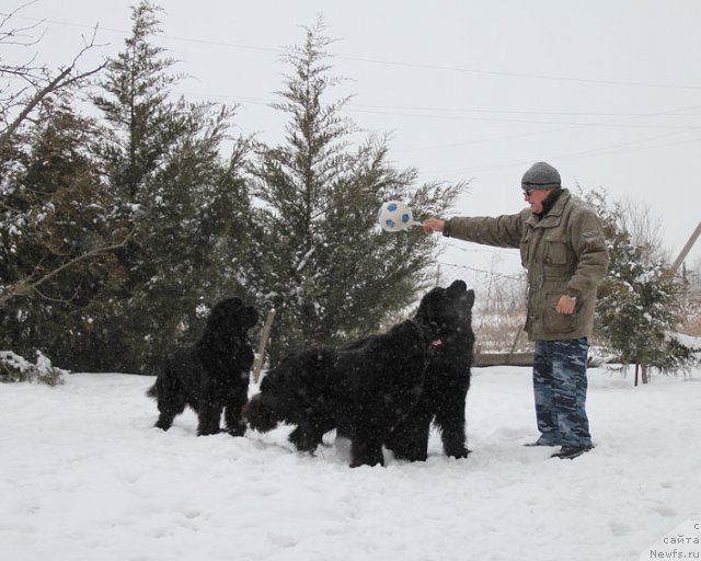 Фотография № 87808