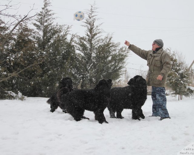 Фотография № 87809