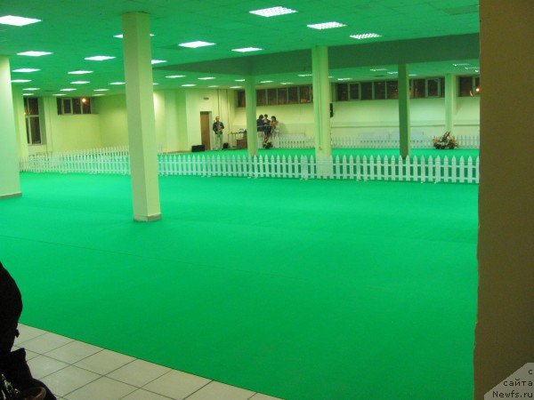 Фотография № 87810