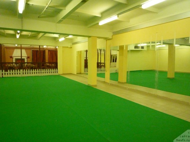 Фотография № 87814