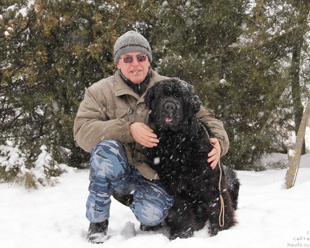 Фотография № 87819