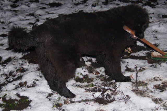 Фотография № 87837