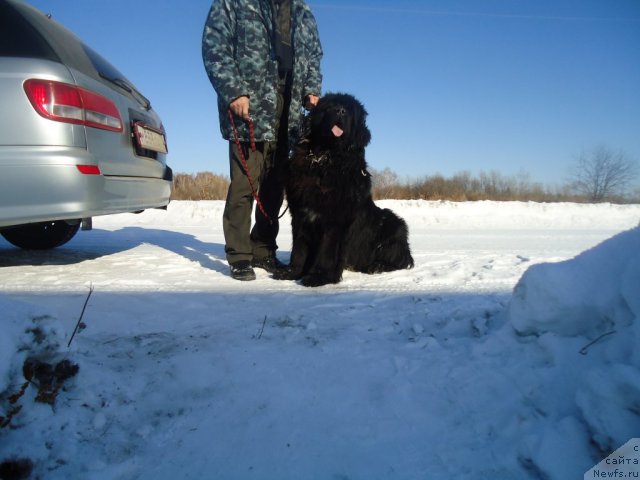 Фотография № 87838