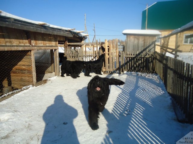 Фотография № 87839