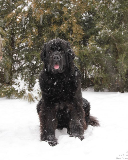 Фотография № 87852