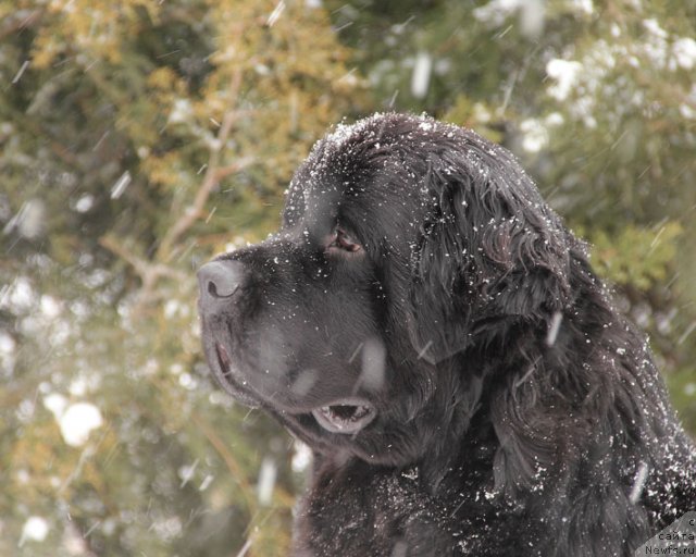 Фотография № 87853