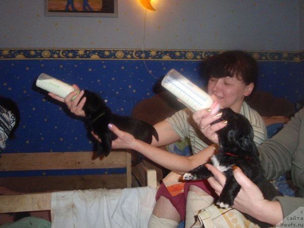 Фото: Ольга Абдулова