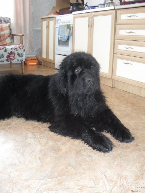 Фотография № 87988