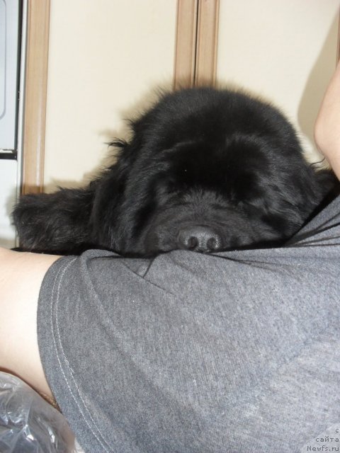 Фотография № 87989