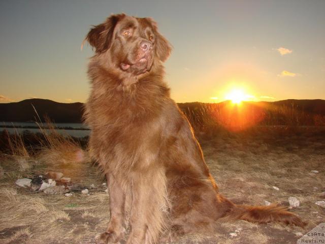 Фотография № 880