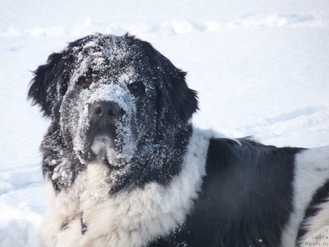 Фотография № 88002