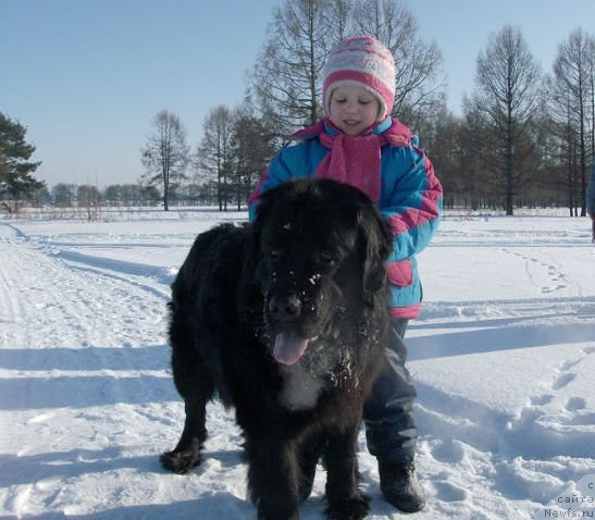 Фотография № 88005