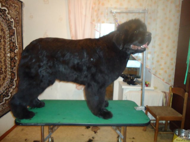 Фотография № 88029