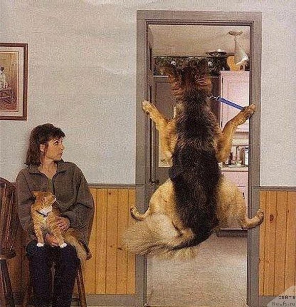 Фотография № 88093