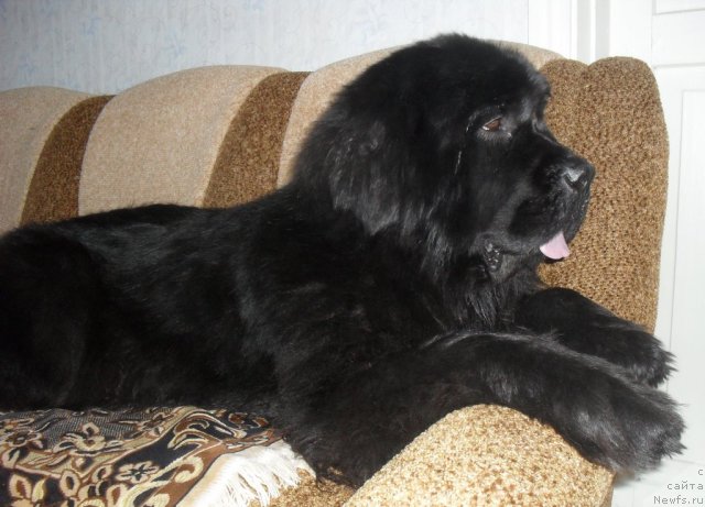 Фотография № 88166