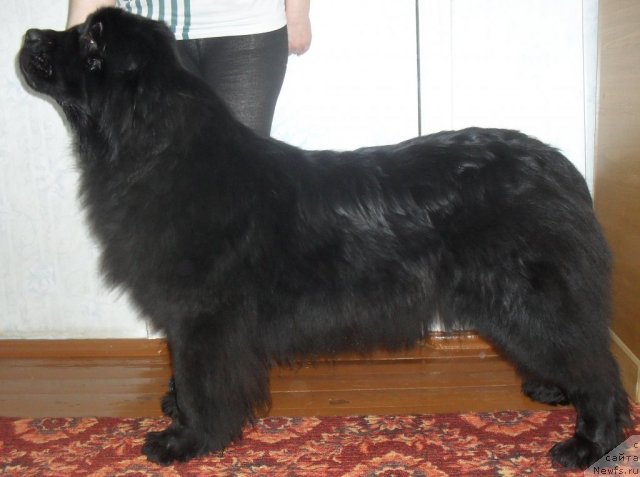 Фотография № 88168