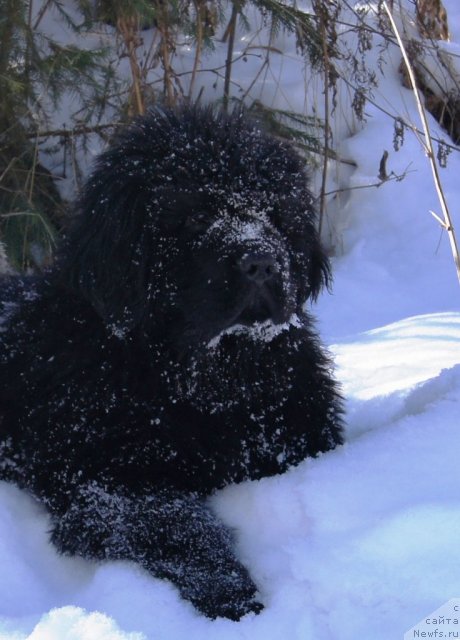 Фотография № 88181