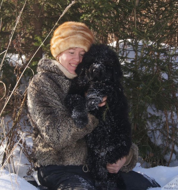 Фото: Ольга Трапезникова, ньюфаундленд Фанньюф Тибул Желанный для Их Высочества