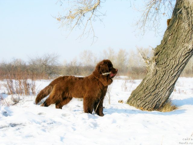 Фотография № 88199