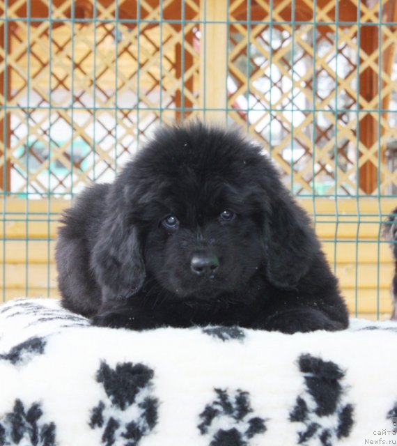 Фото: Акватория Келвин Удача