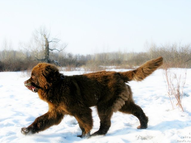 Фотография № 88203