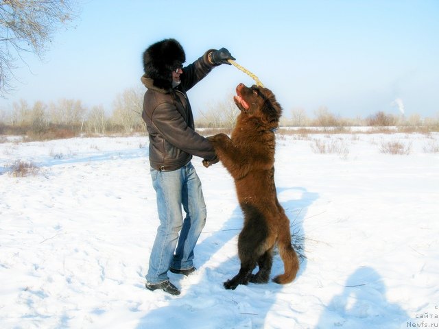 Фотография № 88204