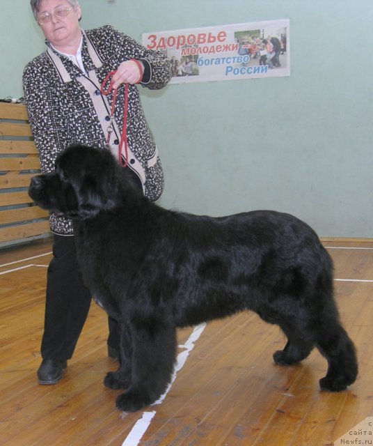 Фотография № 88248