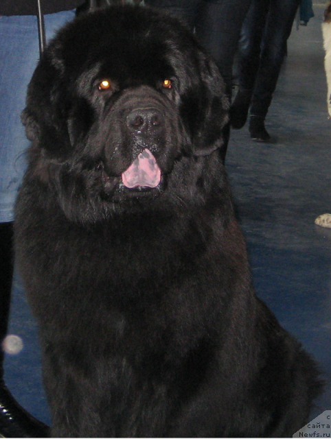 Фотография № 88255