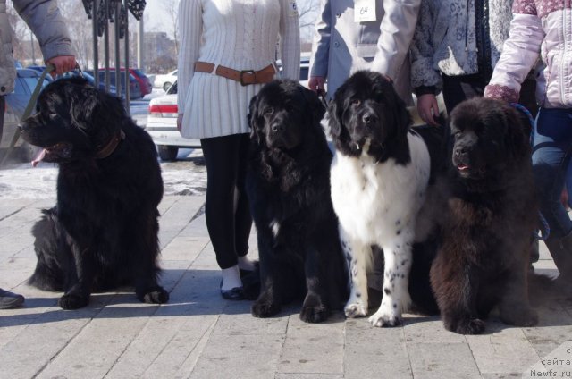 Фотография № 88329