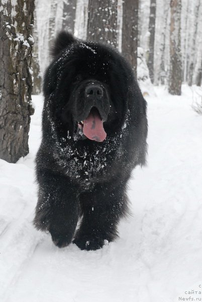 Фотография № 88373