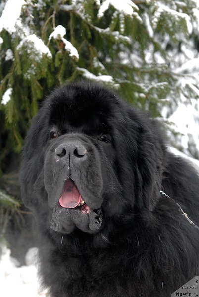 Фотография № 88377