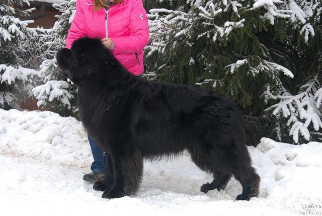 Фотография № 88382