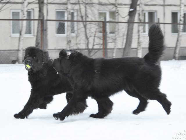 Фотография № 88393