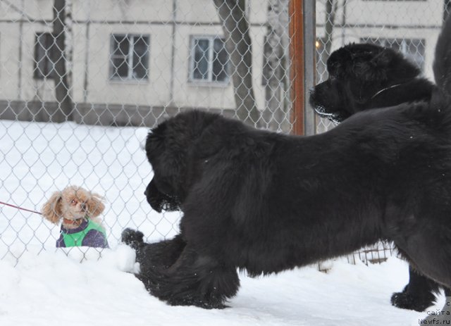 Фотография № 88394