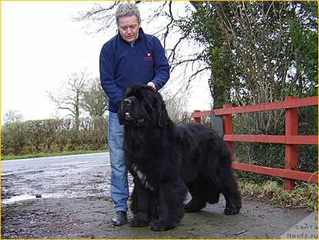 Фотография № 88408