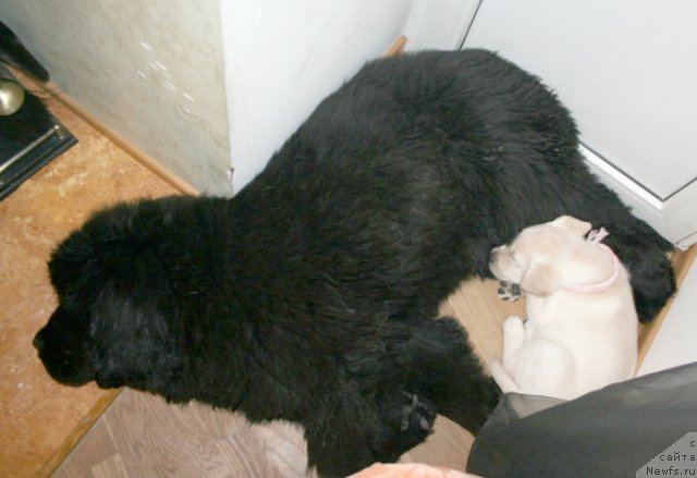 Фотография № 88446