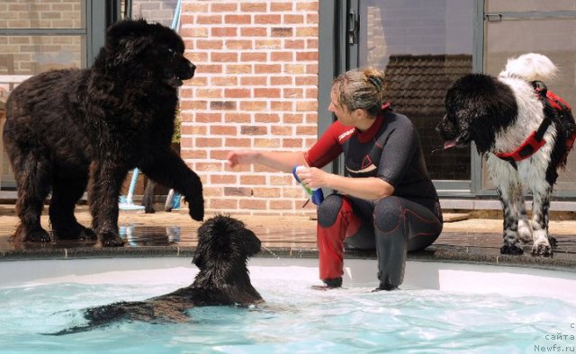 Фото: питомник Two Waterfalls Land