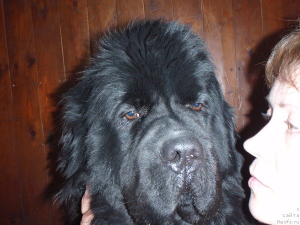 Фотография № 88537