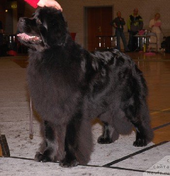 Фотография № 88540