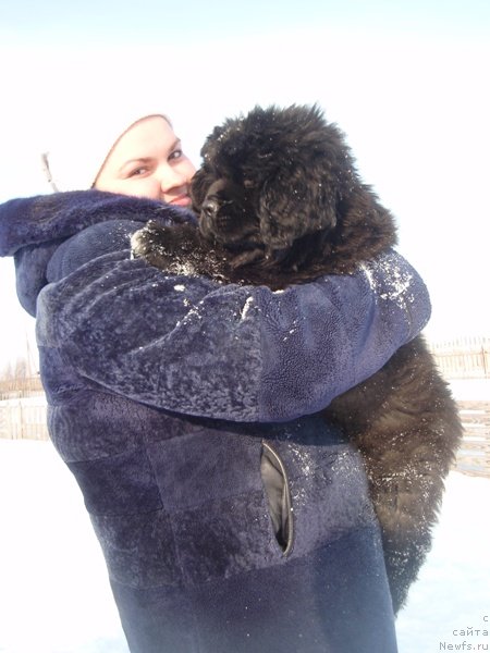 Фото: Екатерина Жиронкина